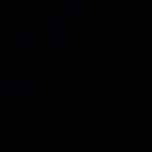 Meet your Posher, Lupe